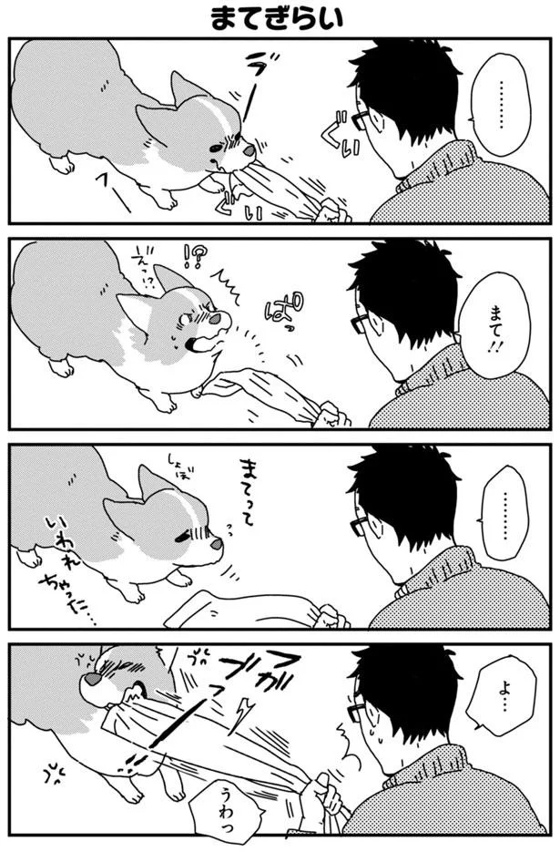 飼い主さんはスマホに夢中 かまって欲しいけど ちゃんと待てるよ あしょんでよッ うちの犬ログ 3 1 レタスクラブ 飼い主さんはスマホに夢中 かまって欲しいけど ちゃんと待てるよ あしょんでよッ うちの犬ログ 3 1 レタスクラブ