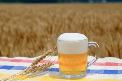 麦芽の使用率によって、ビールと発泡酒は区別されています