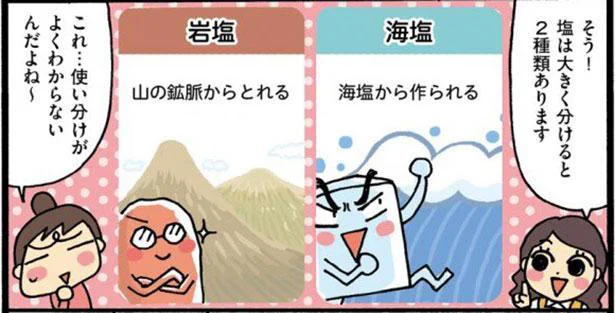 岩塩と海塩の使い分け方知ってますか？「塩」をもっと使いこなすには／味つけ上手になれる！ 調味料使いこなし手帖（2）