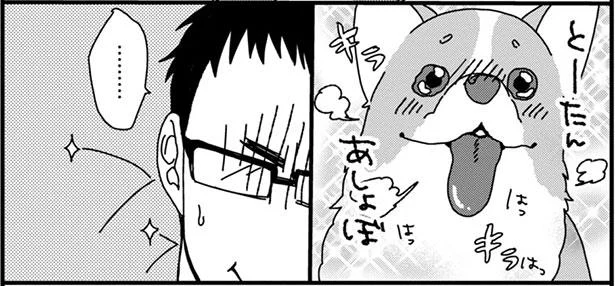 とーたん もっとあしょぼ そんなキラッキラの目で訴えられたら あしょんでよッ うちの犬ログ 2 2 レタスクラブ とーたん もっとあしょぼ そんなキラッキラの目で訴えられたら あしょんでよッ うちの犬ログ 2 2 レタスクラブ