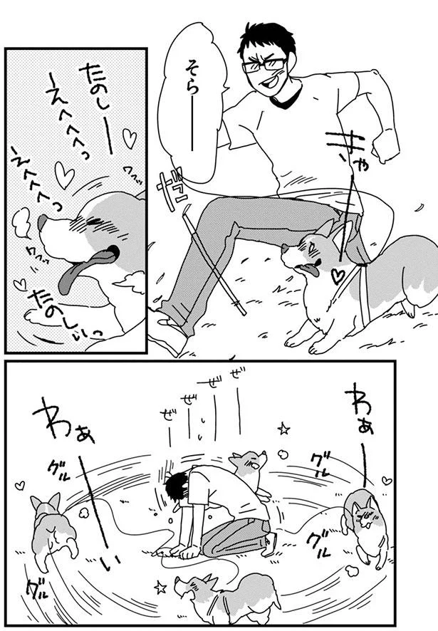 とーたん もっとあしょぼ そんなキラッキラの目で訴えられたら あしょんでよッ うちの犬ログ 2 2 レタスクラブ とーたん もっとあしょぼ そんなキラッキラの目で訴えられたら あしょんでよッ うちの犬ログ 2 2 レタスクラブ
