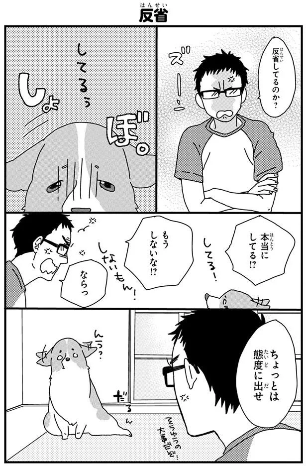 散歩中に会えたら嬉しい犬のお友達 今日はいないのかなあ あしょんでよッ うちの犬ログ 2 4 レタスクラブ