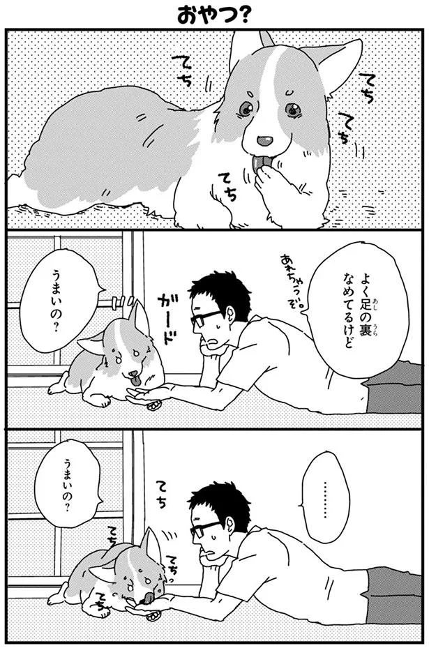 散歩中に会えたら嬉しい犬のお友達 今日はいないのかなあ あしょんでよッ うちの犬ログ 2 4 レタスクラブ 散歩中に会えたら嬉しい犬のお友達 今日はいないのかなあ あしょんでよッ うちの犬ログ 2 4 レタスクラブ