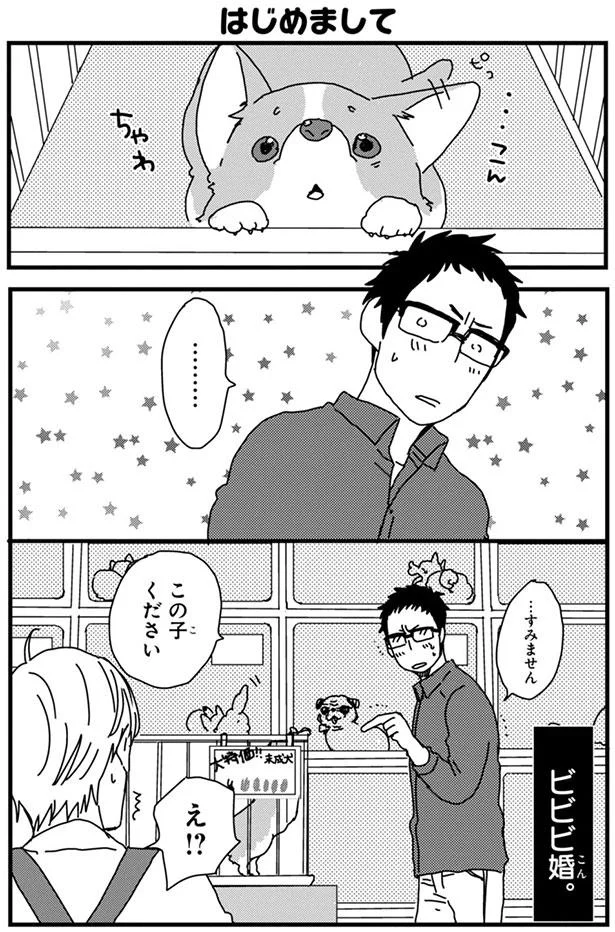 うちの子との初対面 出会ってその日にビビビ婚 あしょんでよッ うちの犬ログ 2 7 レタスクラブ うちの子との初対面 出会ってその日にビビビ婚 あしょんでよッ うちの犬ログ 2 7 レタスクラブ