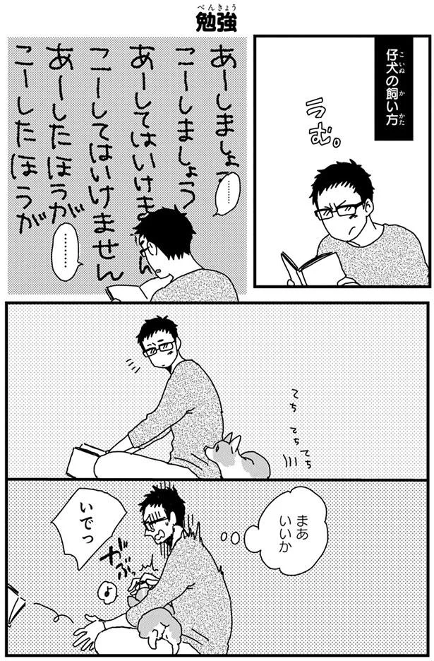 うちの子との初対面 出会ってその日にビビビ婚 あしょんでよッ うちの犬ログ 2 7 レタスクラブ