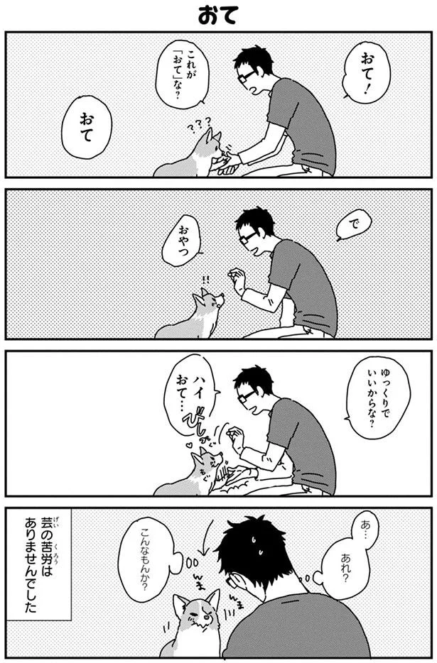 初めてのお散歩はだっこ ちょっと降りてみようかな あしょんでよッ うちの犬ログ 2 8 レタスクラブ 初めてのお散歩はだっこ ちょっと降りてみようかな あしょんでよッ うちの犬ログ 2 8 レタスクラブ