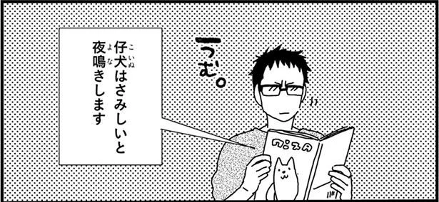 仔犬はさみしいと夜鳴きします
