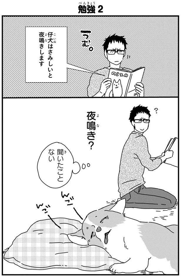 飼育本に書いてある仔犬の夜鳴き うちの子もするのかな あしょんでよッ うちの犬ログ 2 9 レタスクラブ 飼育本に書いてある仔犬の夜鳴き うちの子もするのかな あしょんでよッ うちの犬ログ 2 9 レタスクラブ