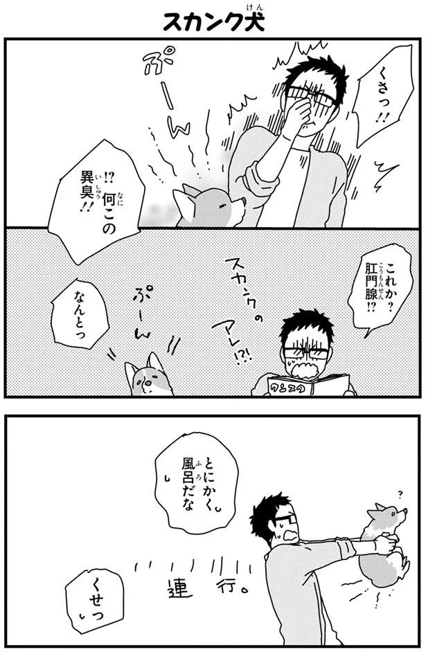 とーたん おかえりー 犬にもこんなに表情があるなんて知らなかった あしょんでよッ うちの犬ログ 2 10 レタスクラブ とーたん おかえりー 犬にもこんなに表情があるなんて知らなかった あしょんでよッ うちの犬ログ 2 10 レタスクラブ