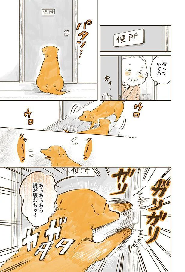 あらあらあら鍵が壊れちゃう