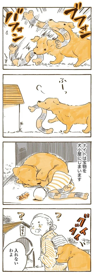 入れないわよ