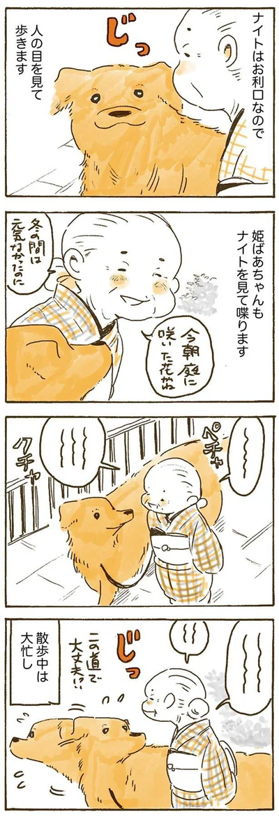 姫ばあちゃんもナイトを見て喋ります