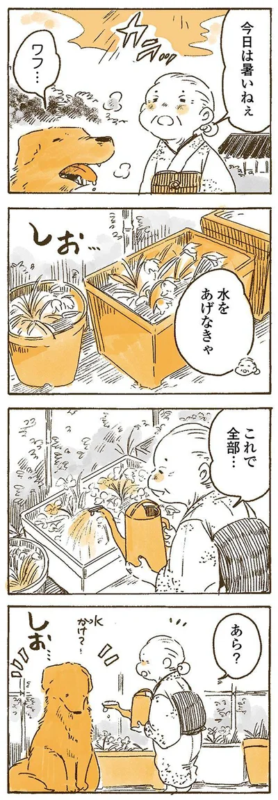 水をあげなきゃ