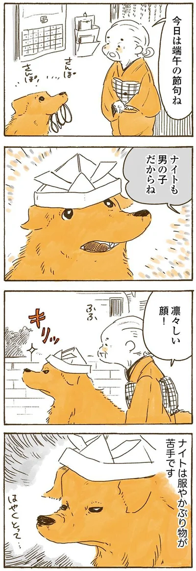 凛々しい顔！