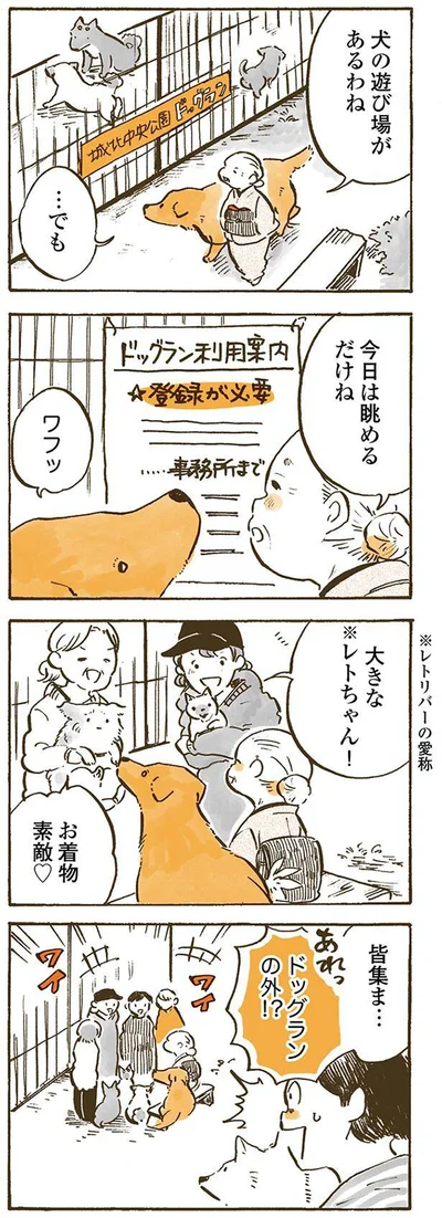 今日は眺めるだけね