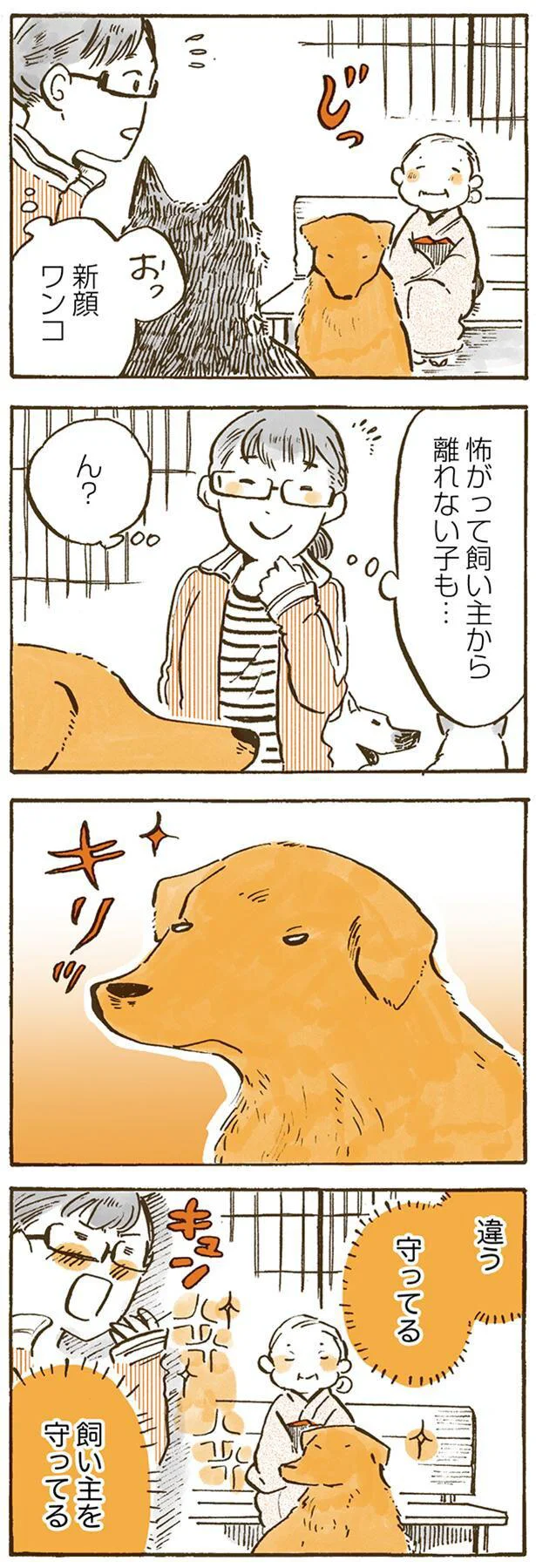 違う、守ってる