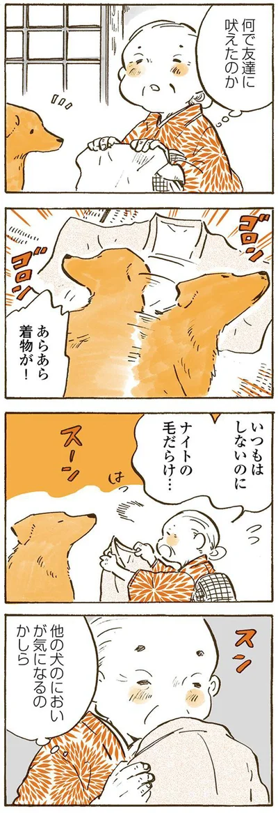 他の犬のにおいが気になるのかしら