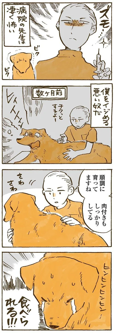 病院の先生は凄く怖い