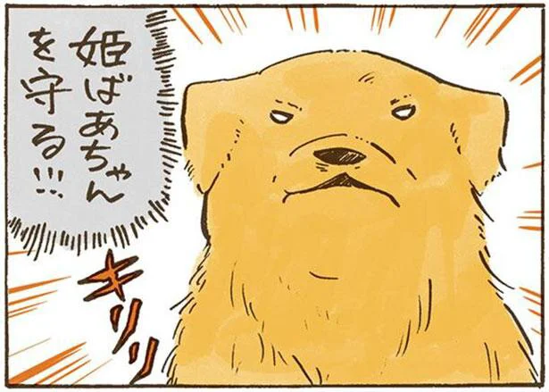 姫ばあちゃんを守る!!