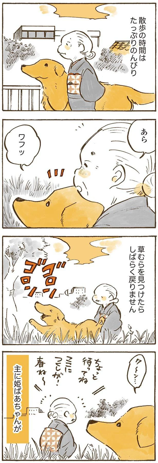 散歩の時間はたっぷりのんびり