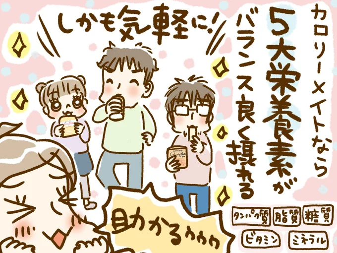 気軽に5大栄養素がバランス良く摂れる!