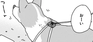 あしょんでよッ うちの犬ログ 3 レタスクラブ あしょんでよッ うちの犬ログ 3 レタスクラブ