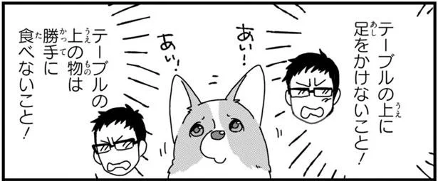 テーブルの上にぼくのおやつ 勝手に食べちゃダメって言うから あしょんでよッ うちの犬ログ 3 7 レタスクラブ テーブルの上にぼくのおやつ 勝手に食べちゃダメって言うから あしょんでよッ うちの犬ログ 3 7 レタスクラブ