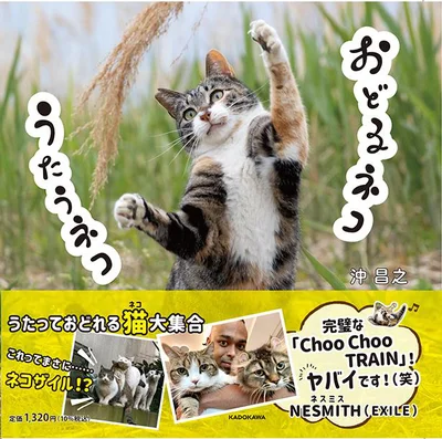 ユニークな猫たちの動きを紹介した写真集『おどるネコうたうネコ』