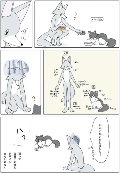 猫って究極に完璧なデザインかもしれない