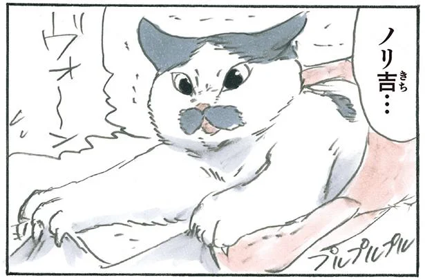 「コレってこんなに嬉しいんだ…」子猫がツメを立てて阻止したかったことは!?／拾い猫のモチャ6（2）