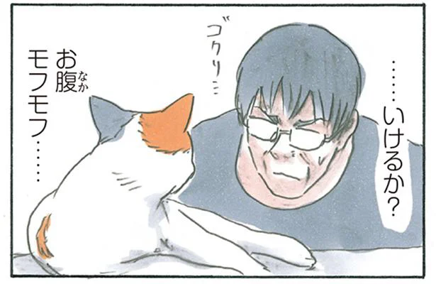 「今日はいけるか？」お腹モフモフにチャレンジしたいけど…／拾い猫のモチャ6（4）