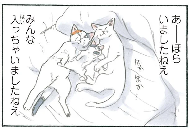 布団に猫が作った「巣穴」を発見！ めくってみると…!?／拾い猫のモチャ6（5）