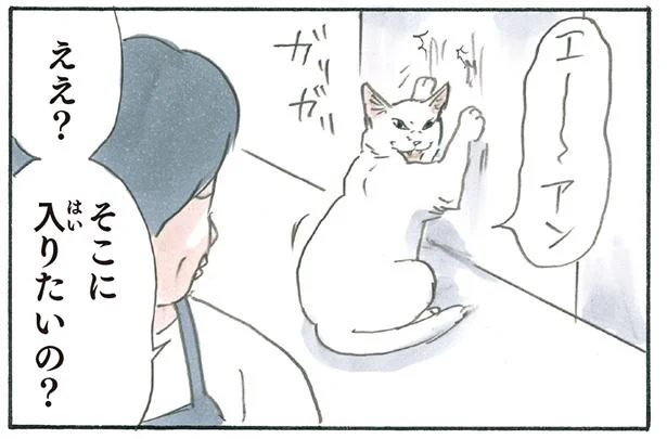 なんで入ったの？「ドア開けて」アピールに応えてあげたのに…／拾い猫のモチャ6（6）