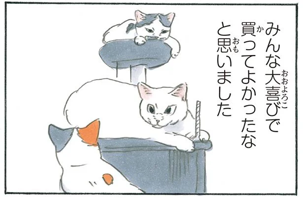 買ったその日に!? 猫たちに気に入られすぎたキャットタワーの末路／拾い猫のモチャ6（8）