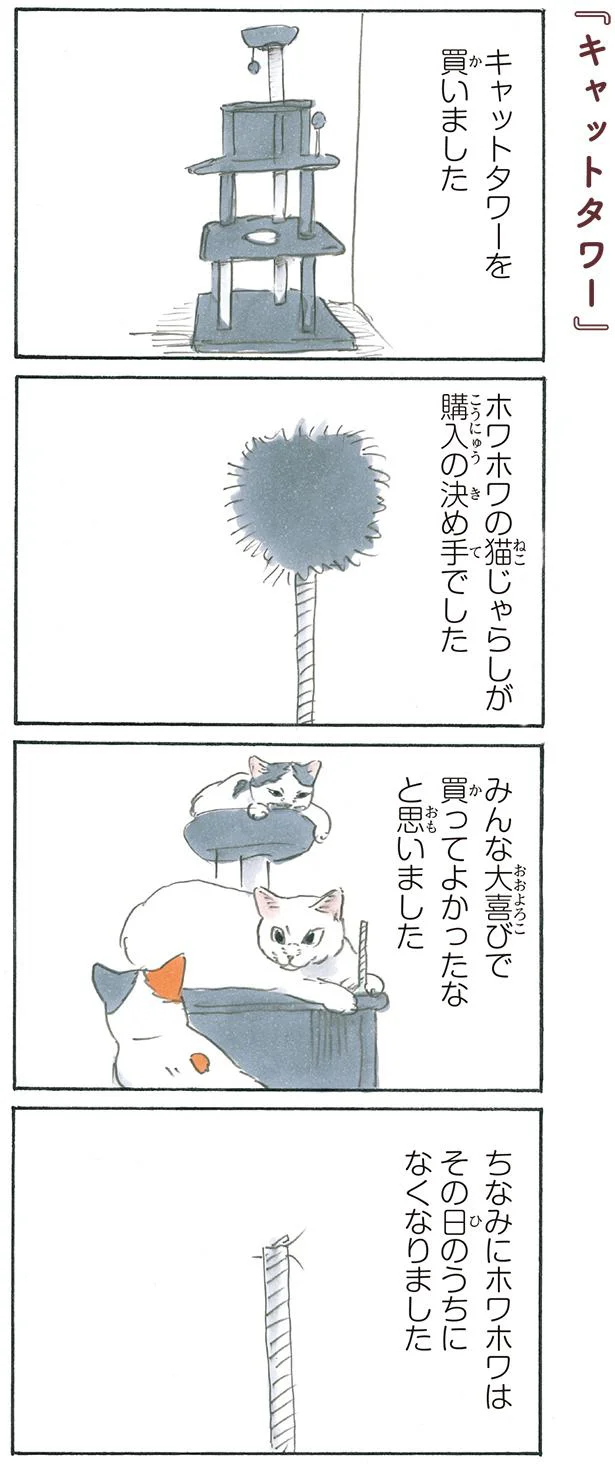 ホワホワはその日のうちになくなりました