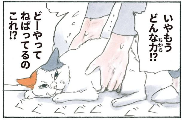 絶対にその場を動きたくない猫。持ち上げようとすると「謎の力」を発揮!?／拾い猫のモチャ6（10）
