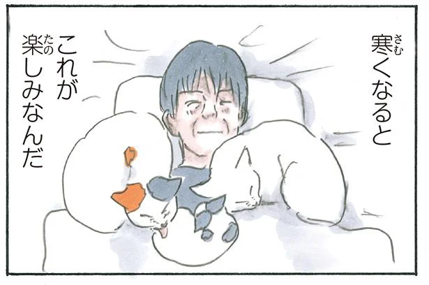 肌寒い季節の至福！ 布団に入ると猫たちがそろりと近づいてきて…／拾い猫のモチャ6（11）