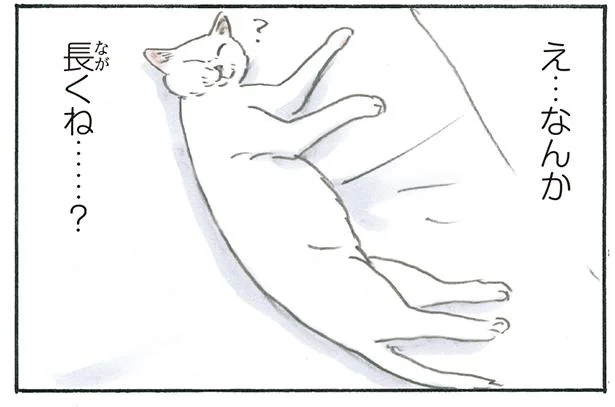 朝起きると…隣で寝ている猫の姿に驚がく！／拾い猫のモチャ6（12）