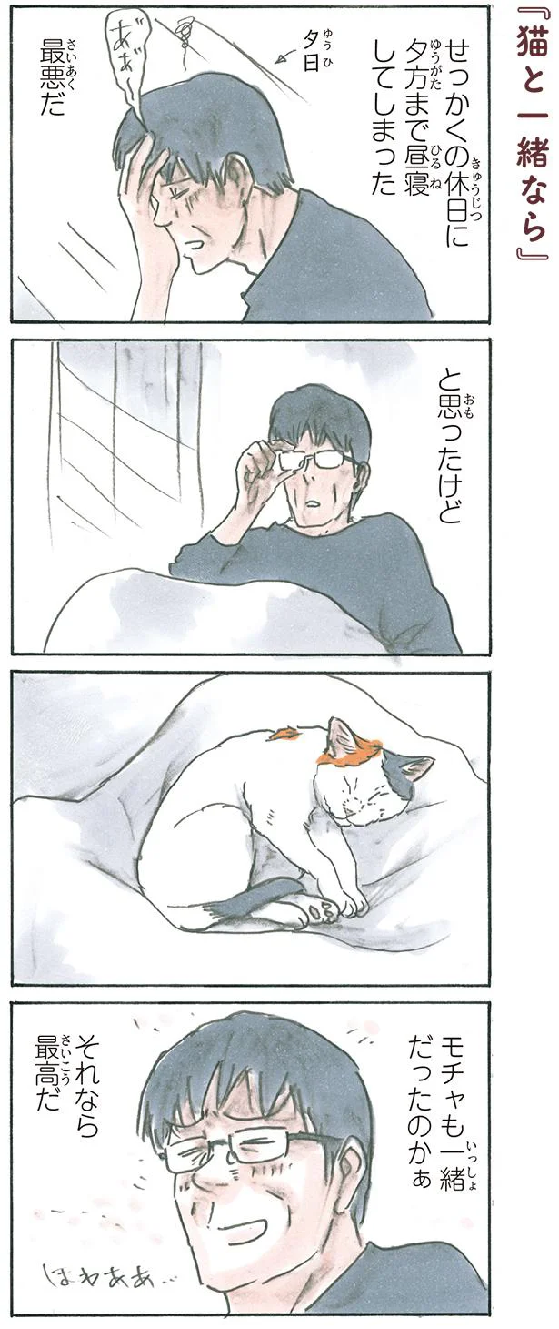 猫と一緒なら