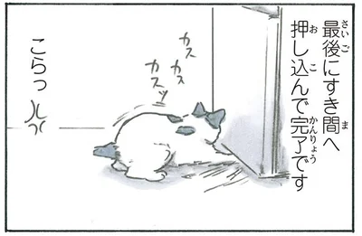 猫のお仕事