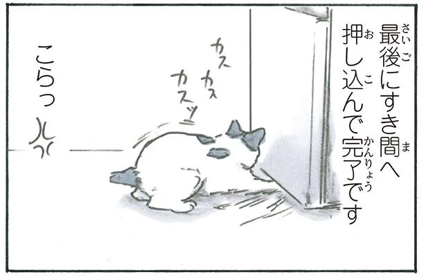 見事な連係プレー！ 猫たちのハイレベルないたずらとは…？／拾い猫のモチャ6（13）