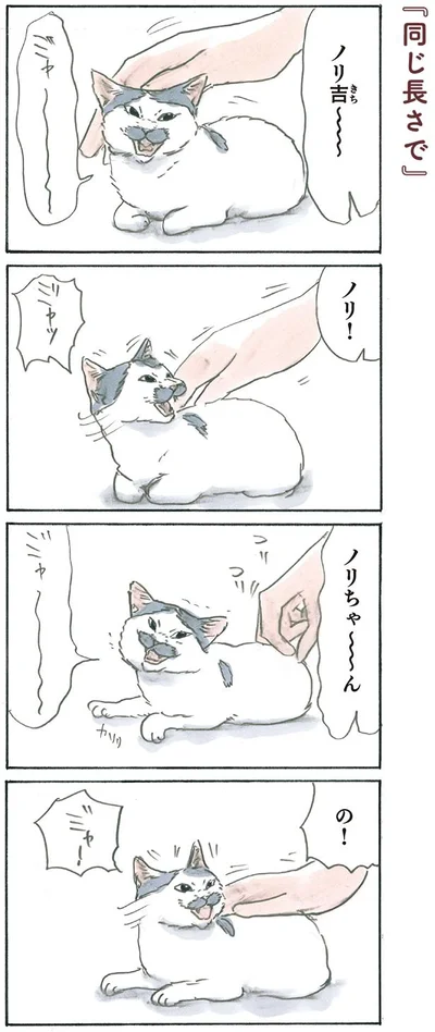 同じ長さで