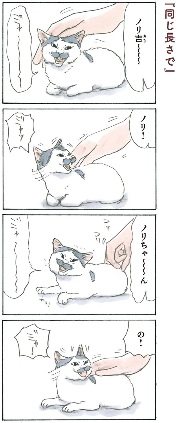 同じ長さで