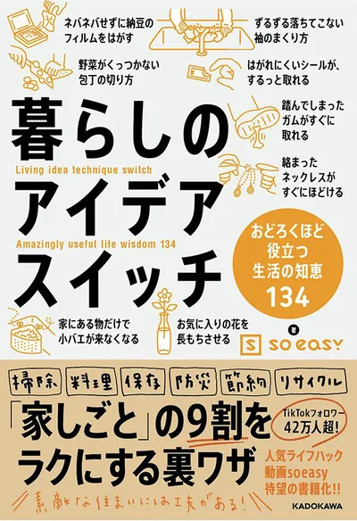 イライラしながら力ワザで乗り越えてきたあんなことやこんなことが簡単に解消！『暮らしのアイデアスイッチ』