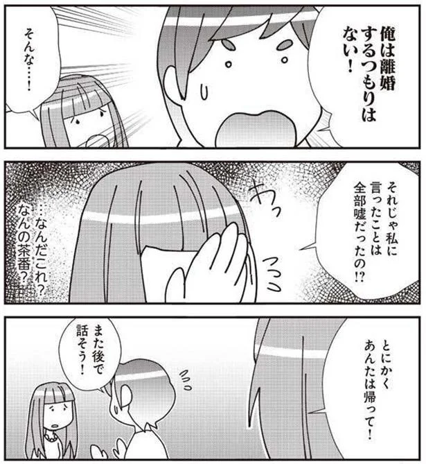とにかくあんたは帰って!