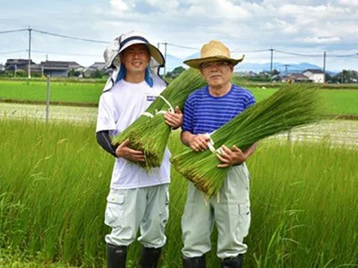 原料の食用いぐさは熊本県八代市で栽培。化学合成農薬・化学肥料はもちろん使いません