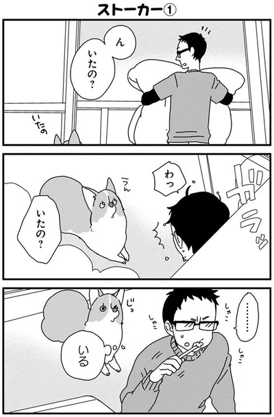 かわいいストーカー 歯磨き中 背後に視線を感じて あしょんでよッ うちの犬ログ 4 3 画像9 15 レタスクラブ