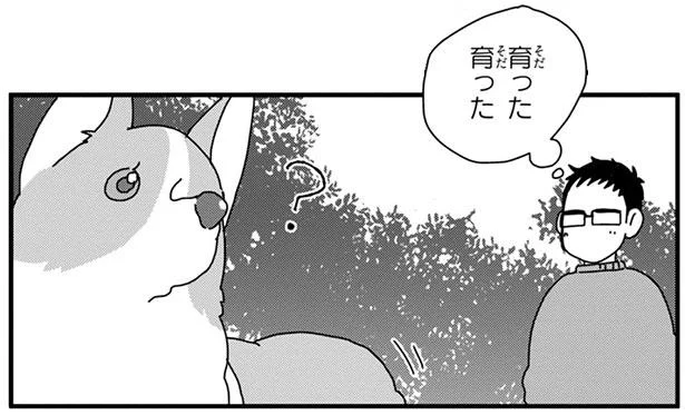 育った 育った