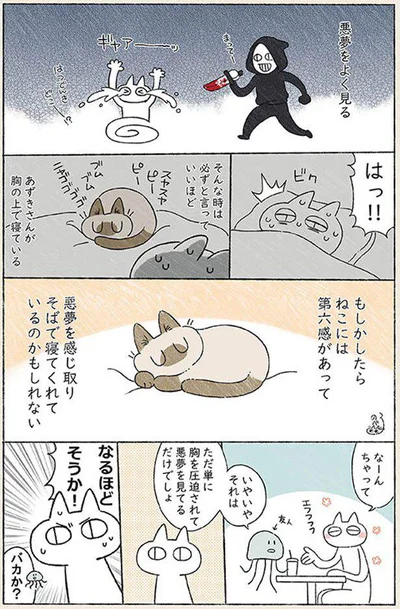 もしかしたらねこには第六感が…？