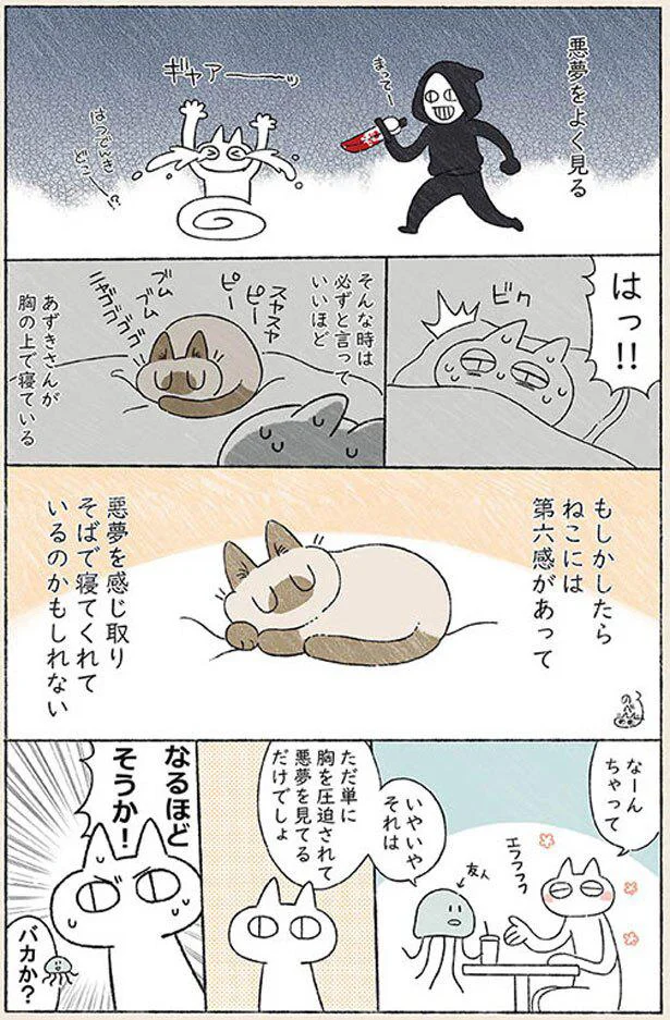 もしかしたらねこには第六感が…？